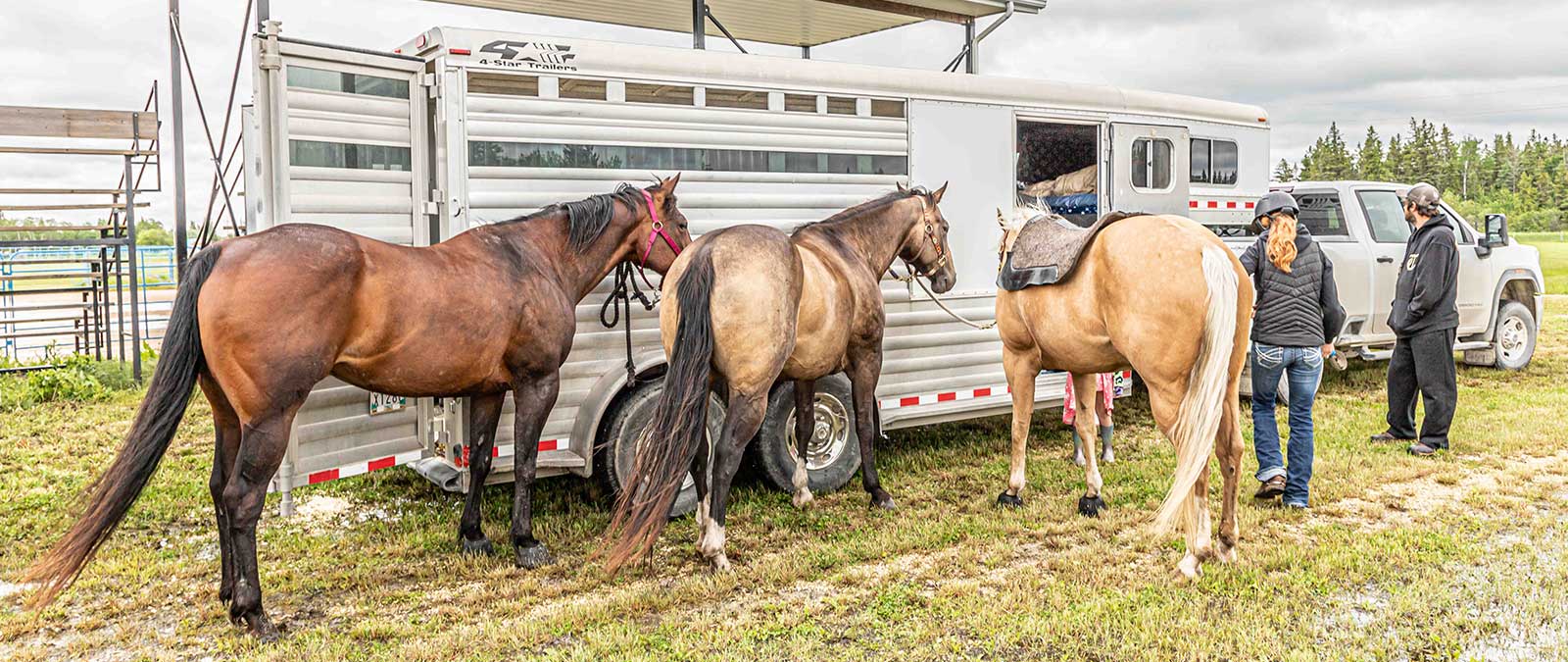 Horse Show